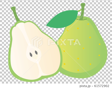 Illustration of whole and cut La France 61572902