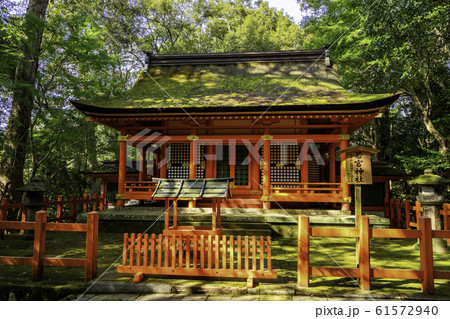 宇佐神宮　若宮神社　大分県宇佐市 61572940