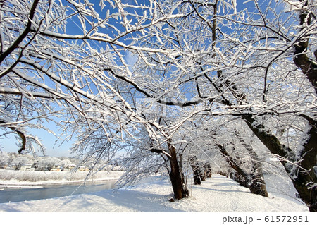 fall magc ing   秋の雪景色 里の秋と季節外れの「蝶」の雪形(安曇野市穂高牧)│MGプレス