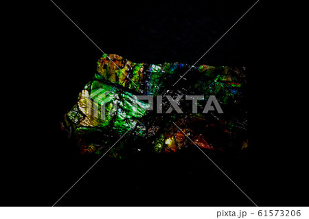 ■ アンモライト ■ 白亜紀 ■ 約7200万年前 ■ アンモナイト 61573206