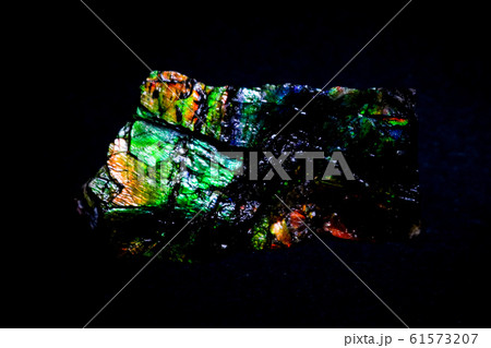 ■ アンモライト ■ 白亜紀 ■ 約7200万年前 ■ アンモナイト ■ アンモライト ■ 白亜紀 ■ 約7200万年前 ■ アンモナイト 61573207