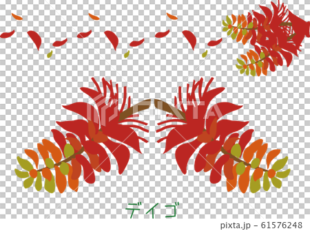 南国 奄美 植物 デイゴのイラスト素材