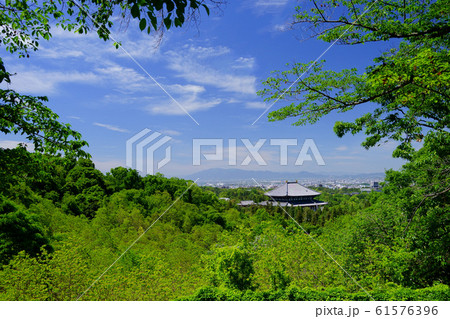 緑の中の東大寺 緑の中の東大寺 61576396
