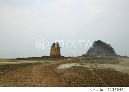 水平線 砂 海岸 61576464