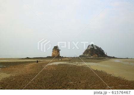 水平線 砂 海岸 61576467