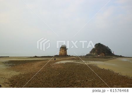 水平線 砂 海岸 61576468