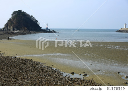 水平線 砂 海岸 61576549