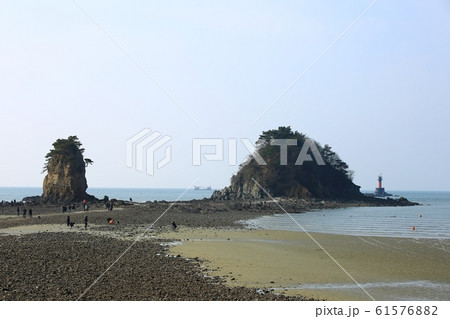 水平線 砂 海岸 61576882