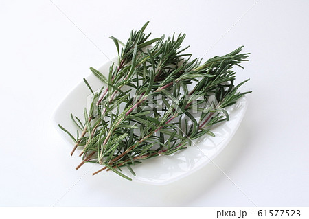 ローズマリー 61577523