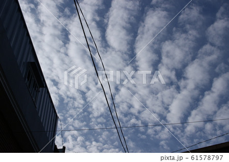 青い 青 ブルー 61578797