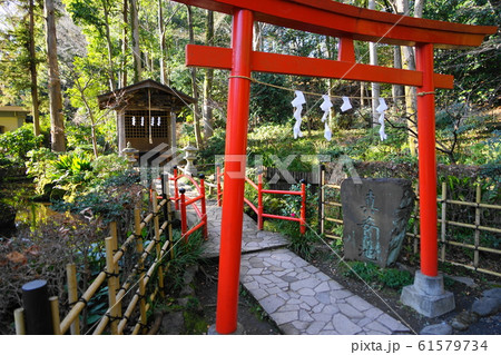 1月　国分寺28真姿の池｢お鷹の道･真姿の池湧水群｣ 61579734