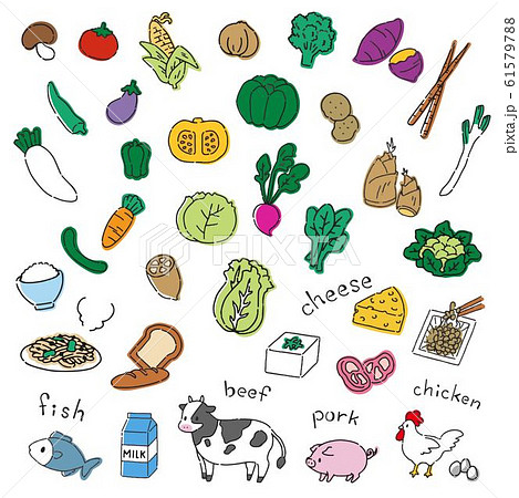 手書き風野菜と肉の可愛いイラスト素材のイラスト素材 [61579788] - Pixta