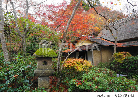 大河内山荘の秋 大河内山荘の秋 61579843