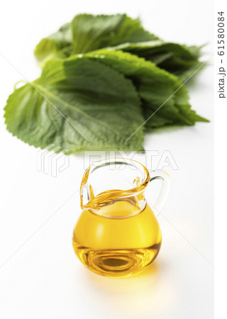 荏胡麻油とエゴマの葉 荏胡麻油とエゴマの葉 61580084