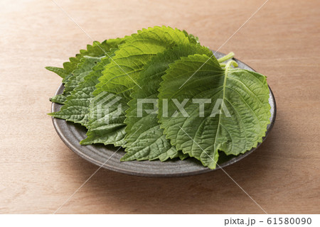 エゴマの葉 61580090