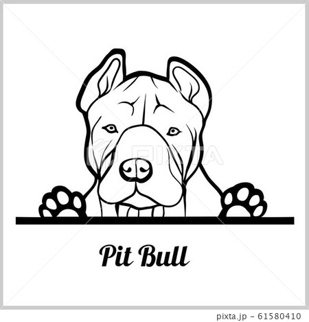 is the american bulldog legal in brunei