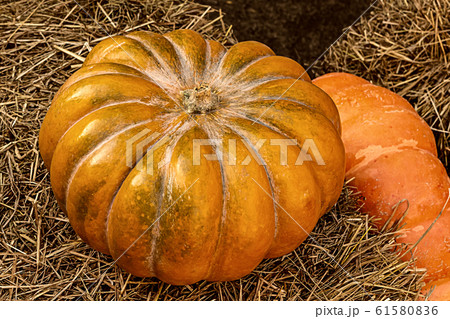 farm decor pumpkin orange and ribbed hay autumn farm decor pumpkin orange and ribbed hay autumn 61580836