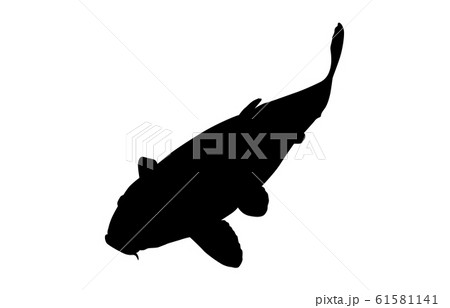 動物シルエット海 川コイ2のイラスト素材