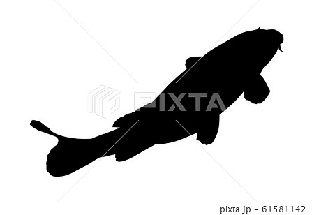 動物シルエット海 川コイ3のイラスト素材