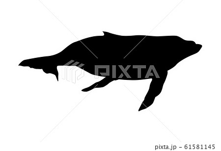 動物シルエット海 川クジラ1のイラスト素材