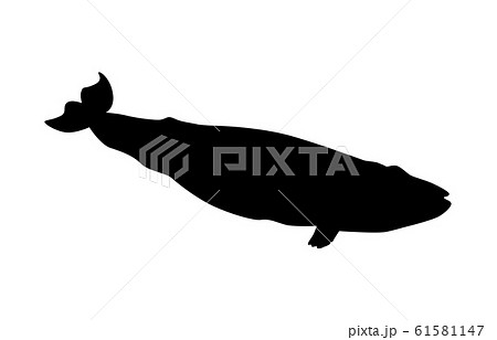動物シルエット海 川クジラ3のイラスト素材