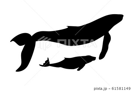 動物シルエット海 川クジラ5のイラスト素材
