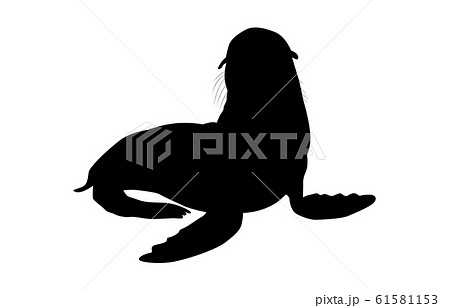 動物シルエット海 川オットセイ2のイラスト素材 61581153 Pixta