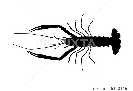 Animal Silhouette Sea River Shrimp 2 Stock Illustration