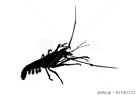 動物シルエット海 川エビ5のイラスト素材