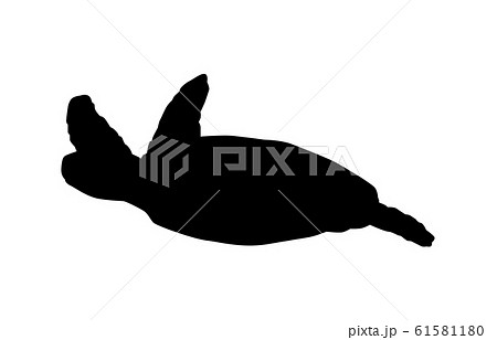 動物シルエット海 川ウミガメ4のイラスト素材