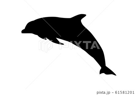 動物シルエット海 川イルカ2のイラスト素材