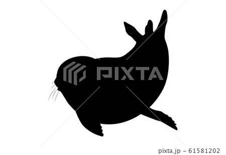 動物シルエット海 川アザラシ5のイラスト素材
