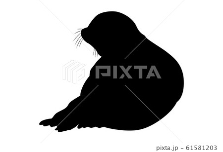 動物シルエット海・川アザラシ6 動物シルエット海・川アザラシ6 61581203