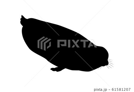 動物シルエット海・川アザラシ3 動物シルエット海・川アザラシ3 61581207