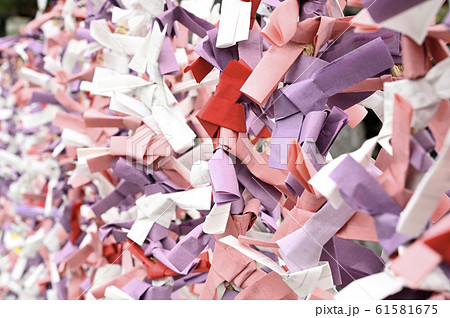 多賀大社のおみくじ 61581675