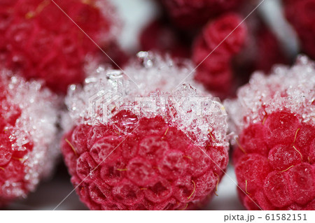 frozen raspberries in ice 61582151