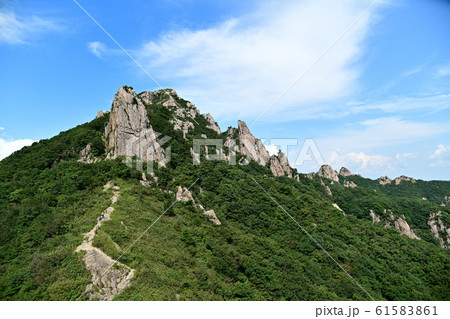 霊岩郡 月出山 国立公園 61583861