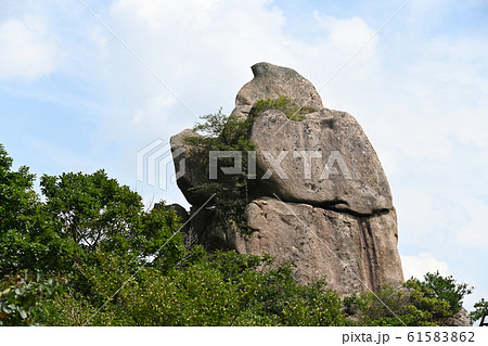 霊岩郡 月出山 山林庁 61583862