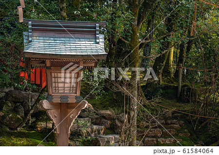 京都 上賀茂神社 神山と灯籠 京都 上賀茂神社 神山と灯籠 61584064