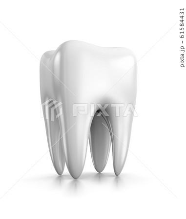 Tooth on White 61584431