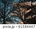 ノスタルジックな夕焼け 61584447