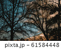 ノスタルジックな夕焼け 61584448