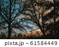 ノスタルジックな夕焼け 61584449