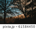 ノスタルジックな夕焼け 61584450