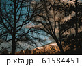ノスタルジックな夕焼け 61584451