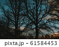 ノスタルジックな夕焼け 61584453
