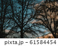 ノスタルジックな夕焼け 61584454