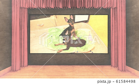 映画館 人なし スクリーン小型犬 イラスト68 映画館 人なし スクリーン小型犬 イラスト68 61584498