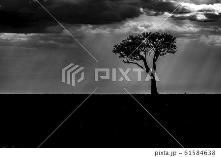 アフリカの風景 アフリカの風景 61584638