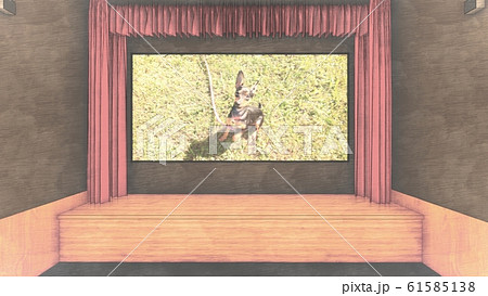 映画館　人なし　スクリーン小型犬2 イラスト66 61585138